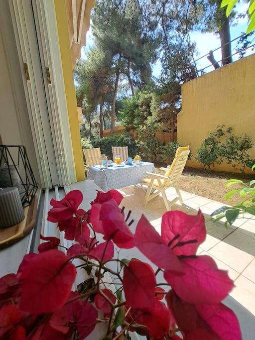 Garden Apartment With Bbq In The Athenian Riviera Kültér fotó